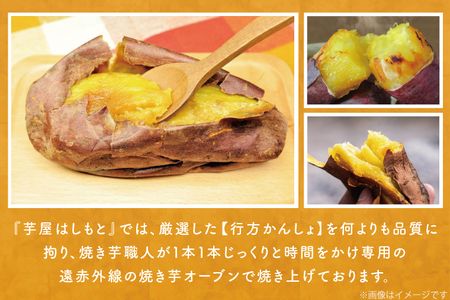 EY-36　【6ヶ月定期便】熟成シルクスイート冷凍焼き芋約3.2kg+おまかせ品種さつまいも　合計約3.5kg