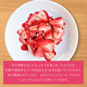 【2026年7月より順次発送】【無添加】ドライフルーツ3点セット｜ドライフルーツ フルーツ くだもの 果物 無添加 とちおとめ 苺 いちご 柿 メロン 乾燥フルーツ セット 非常食 長期保存 先行予約 茨城県 行方市(EP-7)