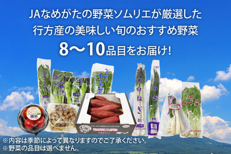 AE-5【『行方かんしょ』入り】JA　季節の野菜＆芋焼酎