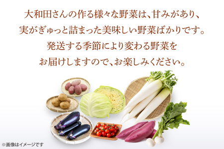 CN-5 夢見るじっちが作る季節の野菜セット 6~10種類入り1箱