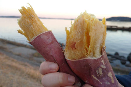 FD-2 【数量限定】つけもの屋が焼いた『やきいも』約2kg(漬物付き)