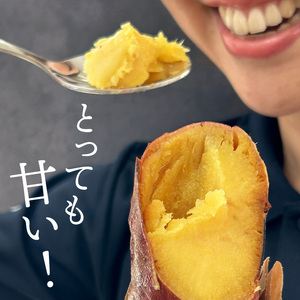 FD-3　【数量限定】つけもの屋が焼いた『やきいも』約3kg（漬物付き）