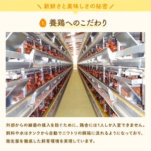 U-9 ◆12ヵ月定期便◆ 黄身がしっかり濃厚な卵【アスタの恵み】90個×12