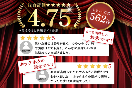 【数量限定】新米 令和7年産 コシヒカリ 20kg ( 5kg × 4袋 )|(HA-15)