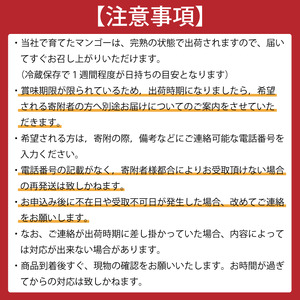 ★数量限定★マンゴー　なめがたプリンセス　ゴールド｜茨城県 行方市 ふるさと納税 マンゴー フルーツ 果物 くだもの 数量限定(EJ-7)