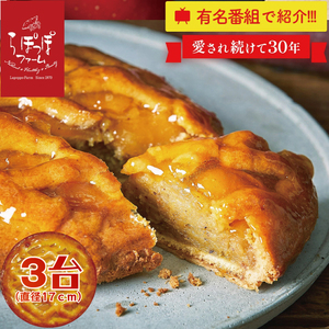 らぽっぽファーム ポテトアップルパイ3台 | りんごパイ パイ 焼き菓子ギフト さつまいもスイーツ ご褒美スイーツ 芋スイーツ おいもスイーツ お菓子 さつまいも 内祝 健康 おやつ(CQ-41)