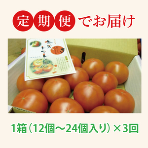 【2026年2月より順次発送】【3ヶ月定期便】★フルーツトマト★KISSトマト 1箱｜トマト とまと フルーツ フルーツトマト KISSトマト 先行予約 定期便 茨城県 行方市(AC-5)