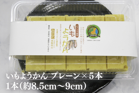 GR-2 みのわ商店の芋ようかん プレーン5本