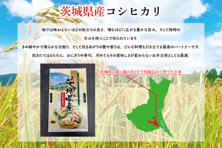 FG-9　お米好き必見！7日以内に発送！！【令和６年産】茨城の恵み お米食べ比べセット 10kg(5kg×2袋) ～ミルキークイーン＆こしひかり～　茨城県 行方市 新鮮 おいしい お米 送料無料 白米 精米 国産 ごはん ご飯 白飯 ゴハン ごはんのおとも 食べ比べ　人気な組み合わせ お取り寄せ 贈答用