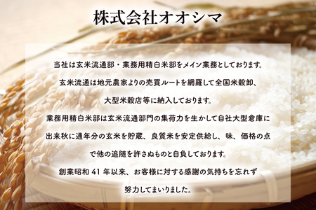 FG-9　お米好き必見！7日以内に発送！！【令和６年産】茨城の恵み お米食べ比べセット 10kg(5kg×2袋) ～ミルキークイーン＆こしひかり～　茨城県 行方市 新鮮 おいしい お米 送料無料 白米 精米 国産 ごはん ご飯 白飯 ゴハン ごはんのおとも 食べ比べ　人気な組み合わせ お取り寄せ 贈答用