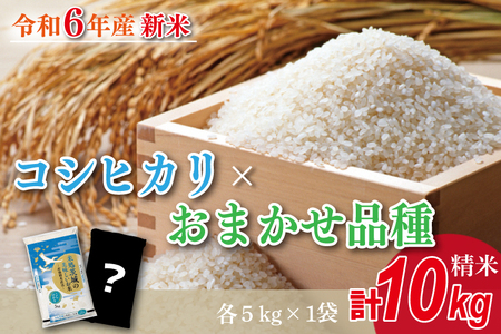 HA-3　★新米★【数量限定】R6年産 コシヒカリ 5kg＋おまかせ 5kg　茨城県産米　おいしさ食べ比べセット