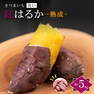 【2026年1月より順次発送】農産物直売所「やさいの声」熟成紅はるか 洗い 約5kg|さつまいも サツマイモ 紅はるか 熟成 洗い 行方市 ふるさと納税(EK-12)