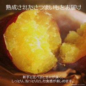 【2026年1月より順次発送】農産物直売所「やさいの声」熟成紅はるか 洗い 約5kg|さつまいも サツマイモ 紅はるか 熟成 洗い 行方市 ふるさと納税(EK-12)