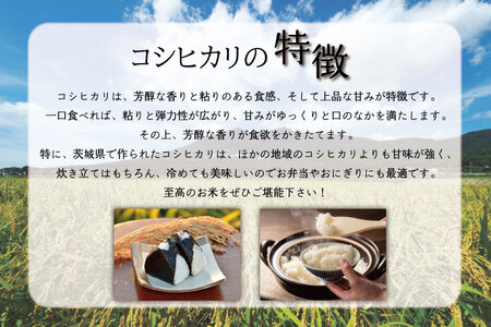 HA-4-1　★新米★【数量限定】R6年産 コシヒカリ 5kg＋にじのきらめき 5kg　茨城県産米　おいしさ食べ比べセット