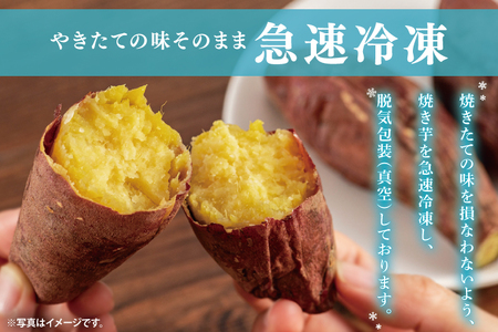 薪火石焼き芋『熟成！ふぞろいのさつまいもたち』約1kg｜芋 さつまいも サツマイモ お芋 いも 熟成 熟成さつまいも ふぞろい やきいも 焼き芋 冷凍焼き芋 真空 茨城県 行方市(GV-2)