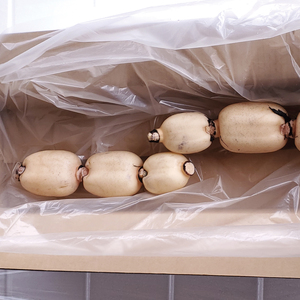 【2025年9月中旬より順次発送】【洗い】「横瀬農園のれんこん」 約2kg(2本入)/ 農家直送 レンコン れんこん 茨城県産 野菜 根菜 行方市産 新鮮 栄養豊富 生産量 日本一(HB-5)