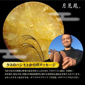 【2025年12月より順次発送】【熟成芋紅はるか】干し芋 小袋サイズ 約1.4kg(350g×4袋)｜茨城県 行方市 ふるさと納税 さつまいも 干し芋 はしいも 小袋 干しいも べにはるか 紅はるか お菓子 菓子(BS-26)