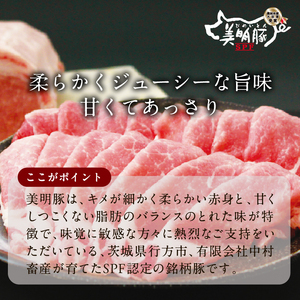 【2026年3月より順次発送】美明豚「びめいとん」のジューシー餃子 2パック(30個入り×2袋)｜餃子 ぎょうざ ギョウザ 美明豚 びめいとん 肉 肉加工品 豚肉 お肉 ジューシー 茨城県 行方市(HJ-2)