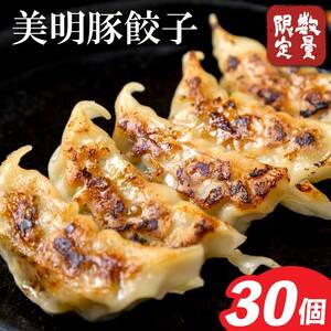 【2025年12月上旬より順次発送】美明豚「びめいとん」のジューシー餃子 1パック(30個入り)｜餃子 ぎょうざ ギョウザ 美明豚 びめいとん 数量限定 肉 肉加工品 豚肉 お肉 ジューシー  茨城県 行方市(HJ-5)