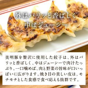 【2025年12月上旬より順次発送】美明豚「びめいとん」のジューシー餃子 1パック(30個入り)｜餃子 ぎょうざ ギョウザ 美明豚 びめいとん 数量限定 肉 肉加工品 豚肉 お肉 ジューシー  茨城県 行方市(HJ-5)