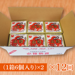 【12ヶ月定期便】水戸納豆 小粒 12個(1箱6個入り×2)｜納豆 水戸納豆 定期便 小粒 小粒納豆 茨城県 行方市(BD-5)
