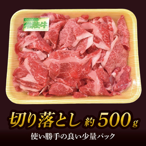 美明豚小間切れ＆常陸牛切り落とし 計1kg(各約500g×1)｜肉 お肉 牛肉 肉類 牛肉 常陸牛 美明豚 切り落とし 小間切れ セット アソート ブランド 使い切り 少量 茨城県 行方市(DH-32)