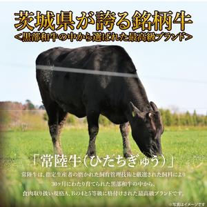 美明豚小間切れ＆常陸牛切り落とし 計1kg(各約500g×1)｜肉 お肉 牛肉 肉類 牛肉 常陸牛 美明豚 切り落とし 小間切れ セット アソート ブランド 使い切り 少量 茨城県 行方市(DH-32)