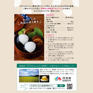 ★期間・数量限定★R7年産ルミナスクイーン 8kg(2kg×4袋)|米 お米 ルミナスクイーン コシヒカリ こしひかり ミルキークイーン 期間限定 数量限定 R7年産 令和7年産 茨城県 行方市(CU-324)