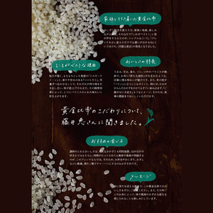 ★期間・数量限定★R7年産ルミナスクイーン 8kg(2kg×4袋)|米 お米 ルミナスクイーン コシヒカリ こしひかり ミルキークイーン 期間限定 数量限定 R7年産 令和7年産 茨城県 行方市(CU-324)