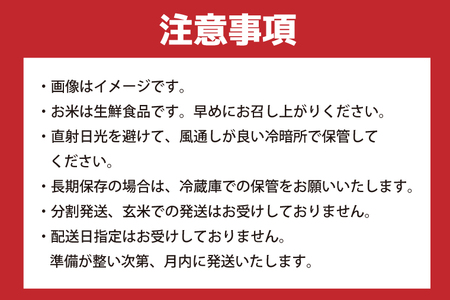 【ふるなびWEEK対象】★新米★R7年産 コシヒカリ 5kg+あきたこまち 5kg FN-Limited-PR｜米 お米 白米 精米 新米 R7年産 令和7年産 コシヒカリ こしひかり あきたこまち 食べ比べ 茨城県 茨城県産 行方市(HA-20-A)
