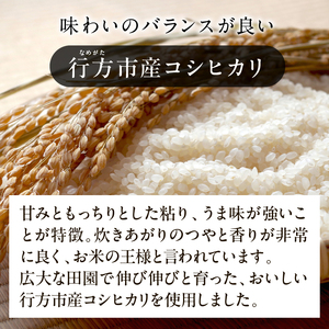 【最短翌日発送】 パックライス コシヒカリ もち麦 160g×18食|パックライス スピード 茨城県 行方市(HE-5)