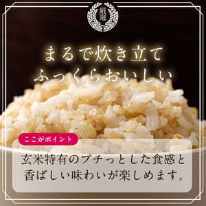 【最短翌日発送】 パックライス コシヒカリ 玄米 160g×18食｜パックライス スピード 茨城県 行方市(HE-6)