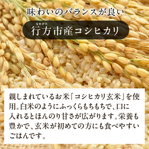 【最短翌日発送】 パックライス コシヒカリ 玄米 160g×18食｜パックライス スピード 茨城県 行方市(HE-6)