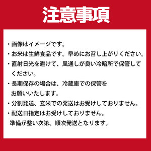 【数量限定】 令和7年産 米 ミルキークイーン 5kg |お米 茨城県 行方市(HA-25)