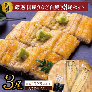 大きな国内産うなぎ白焼(酒蒸し)140～160g×3尾　計420g以上｜うなぎ 鰻 ウナギ 国産 国産うなぎ 白焼き 白焼 酒蒸し 土用の丑の日 丑の日 茨城県 行方市(AD-147)