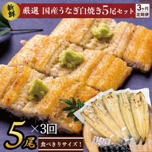 AD-60-1 【3か月定期便】食べきりサイズ!国内産うなぎの白焼(酒蒸し)5尾×3回 計1800g以上