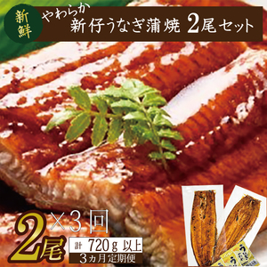 AD-91 【3か月定期便】やわらか新仔うなぎ蒲焼120~140g 2尾×3回 計720g以上