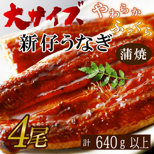 AD-114 やわらか新仔うなぎ大サイズ160~170g 4尾 計640g以上