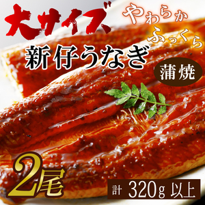 AD-116 やわらか新仔うなぎ大サイズ160~170g 2尾 計320g以上