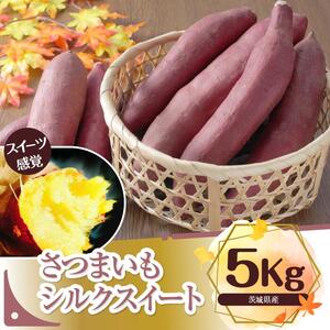 BS-1 さつまいも シルクスイート 5kg
