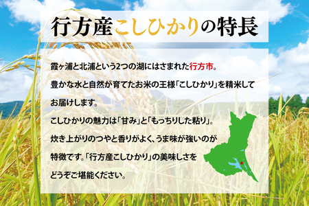 CU-31-1　★令和6年度産★行方産こしひかり 10kg(検査1等米)