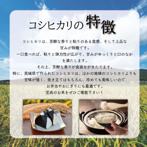 【2025年6月発送】★数量限定★令和6年 茨城県産コシヒカリ 10kg｜米 お米 こめ こしひかり コシヒカリ 数量限定 期間限定 令和6年産 茨城県産 行方市 人気 送料無料(CU-327-3)