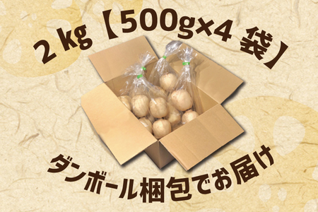 EG-2　【2024年8月下旬より順次発送】レンコン 約2kg