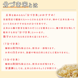 ★真空包装★R7年産こしひかり食べ比べ 計8kg(2kg×各2袋)【5分づき・7分づき】|米 こめ お米 コシヒカリ こしひかり 真空 真空包装 5分づき 7分づき 人気 個包装 茨城県 行方市 送料無料(CZ-11-3)