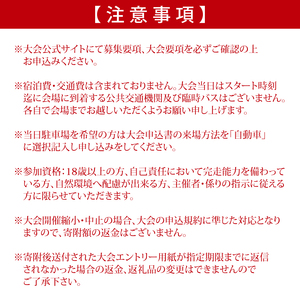 第8回茨城100kウルトラマラソンin鹿行(ROKKO)　大会参加権（1名様）｜マラソン 鹿行 ROKKO 100キロ イベント 参加権 茨城県（CB-12）