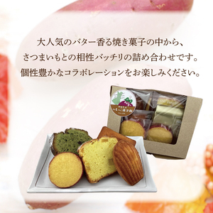 EI-3　焼き菓子・5色のミニモンブラン・行方産焼き芋２倍セット