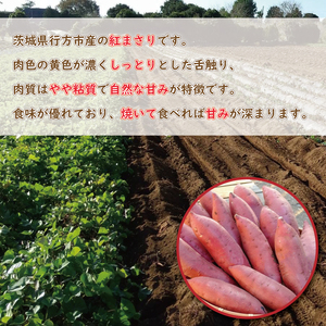 【2026年2月中旬より順次発送】野原さんちのさつまいも 紅まさり 約5kg｜芋 さつまいも サツマイモ お芋 いも 紅まさり 期間限定 先行予約 茨城県 行方市(EL-1-1)