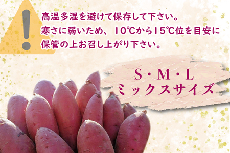 【2026年2月中旬より順次発送】野原さんちのさつまいも 紅まさり 約5kg｜芋 さつまいも サツマイモ お芋 いも 紅まさり 期間限定 先行予約 茨城県 行方市(EL-1-1)