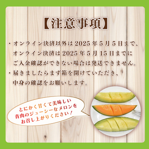 【2026年5月より順次発送】特大玉イバラキングメロン＆クインシーメロン（各1玉／計2玉）｜メロン クインシーメロン イバラキングメロン フルーツ 果物 くだもの 特大 先行予約 茨城県 行方市(BW-16-1)