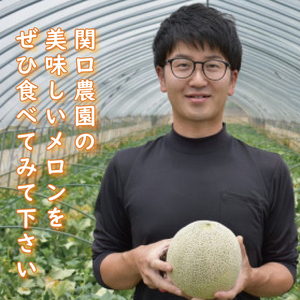 【2026年5月より順次発送】イバラキングメロン 3～4玉｜メロン イバラキングメロン フルーツ 果物 くだもの 先行予約 茨城県 行方市(BW-18-1)